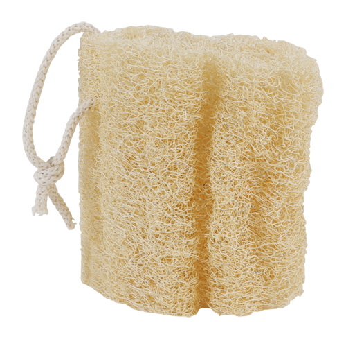 Natural Loofah Sponge