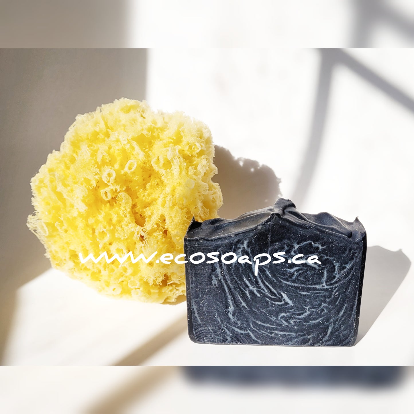 ECO-NATURAL SEA SPONGE