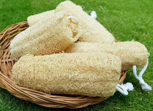 Natural Loofah Sponge