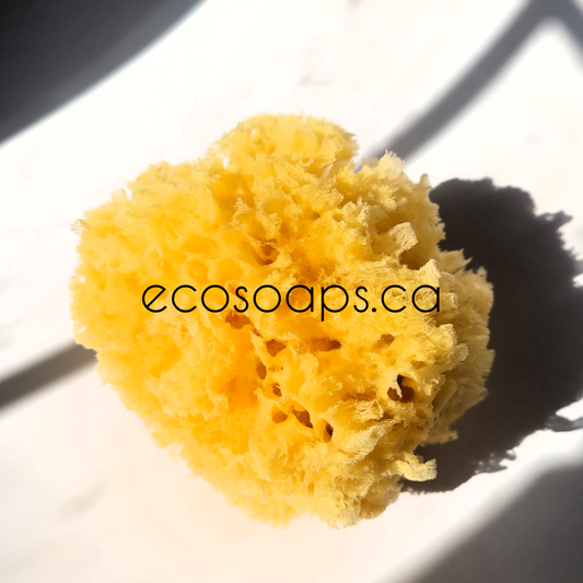 ECO-NATURAL SEA SPONGE